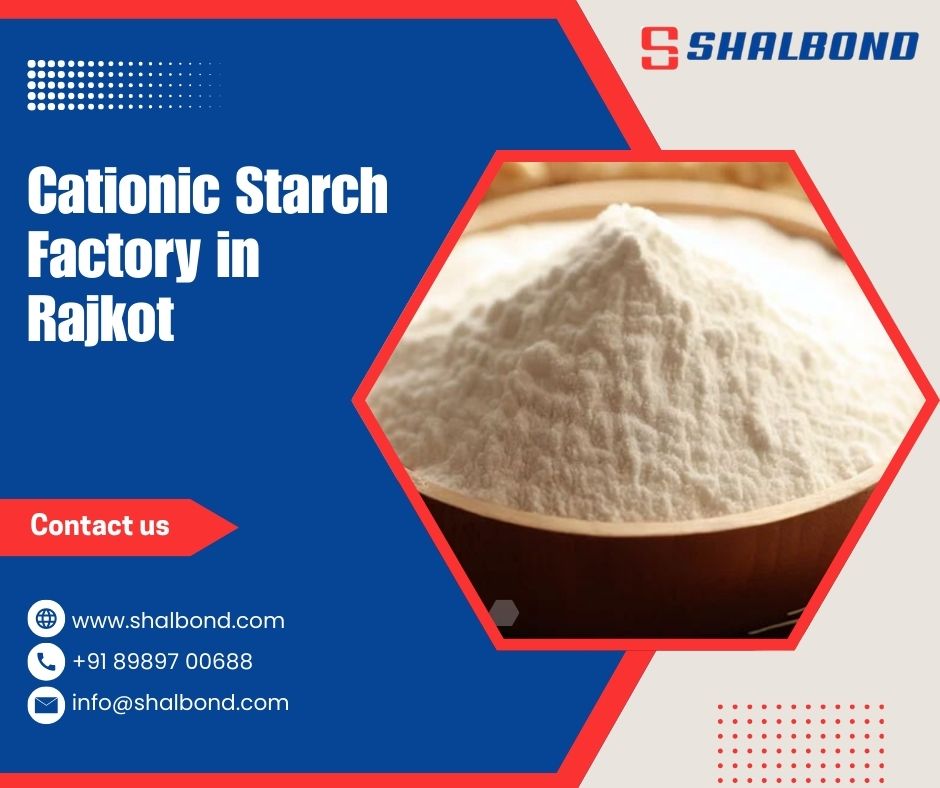 Cationic Starch Factory in Rajkot